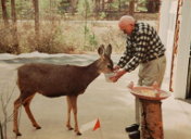 Dad feeding deer