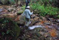 Stream Crossing