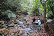 Dona, Stream Crossing