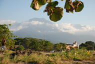 La Ceiba with Pico Bonito in the background