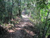 Trail