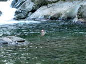 Gary cooling off in la Coloradito