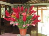 Flower Arrangement in Front Entrance