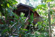 Our Cabin at Pico Bonito