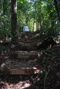 Steps in Trail