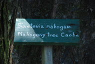 Mahogany Sign