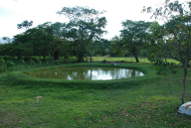 Manfred and Andrea's Pond