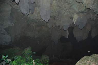 Inside the Cave