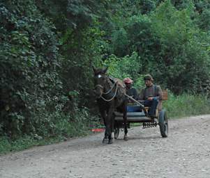 Horse Cart