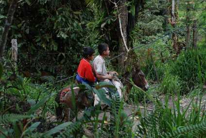 Boys On Burro