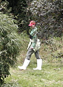 Elusive Red-Capped White-Booted Esther