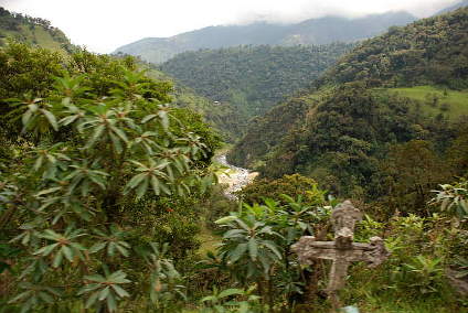 Valley with Roadside Cross