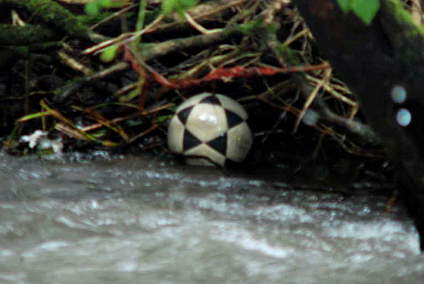 Soccer Ball stuck in Eddy