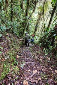 Trail to Beach