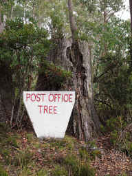 Post Office Tree