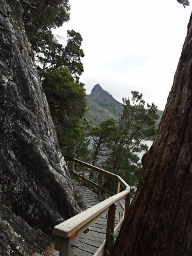 Cradle Mountain; boardwalk