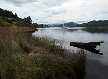 Huon River