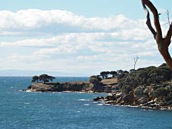 Maria Island Coastline