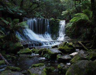 Mt. Field National Park