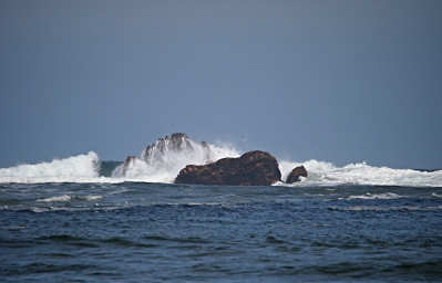Ocean