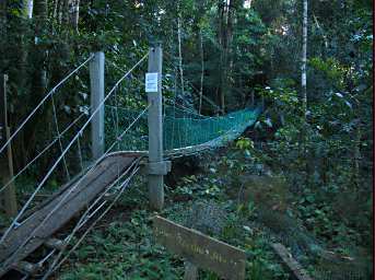 Danum Bridge Dawn