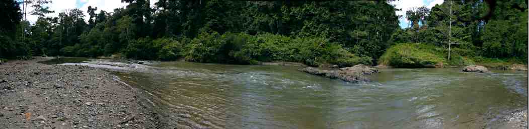 Danum Swimming Hole