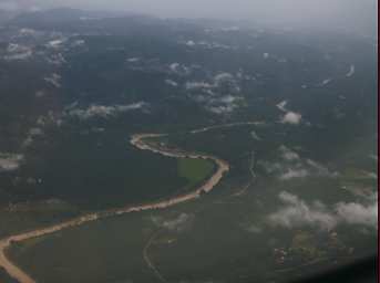 River Oil Palm From Air