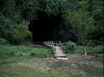 Gomantong Caves Entrance