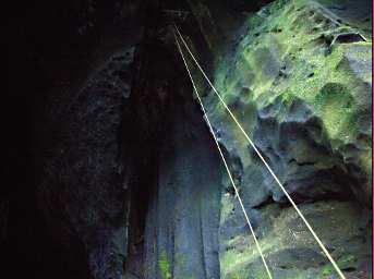 Gomantong Caves Ropes To Platform