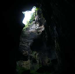 Gomantong Caves Top Entrance