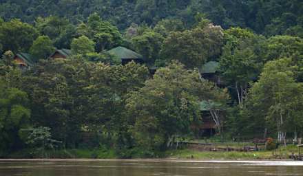 Kinabatangan Myne Lodge