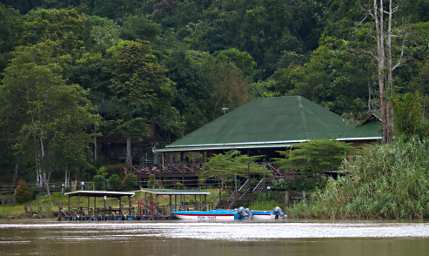 Kinabatangan Myne Lodge