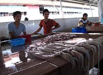 KK Fish Market
