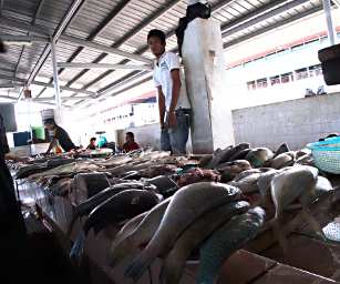 KK Fish Market