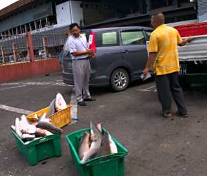 KK Fish Market