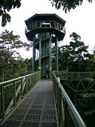 Sepilok Tower