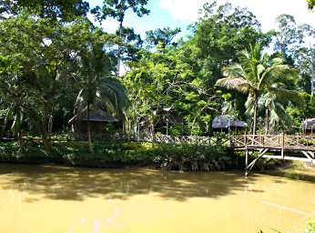 Sepilok