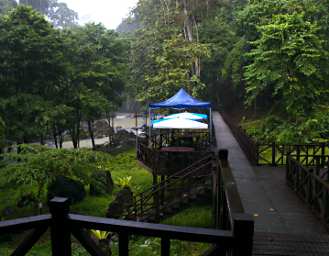Tabin Grounds