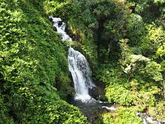 Roadside waterfall