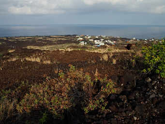 Milolii