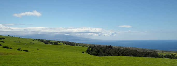 Kohala pastoral scene