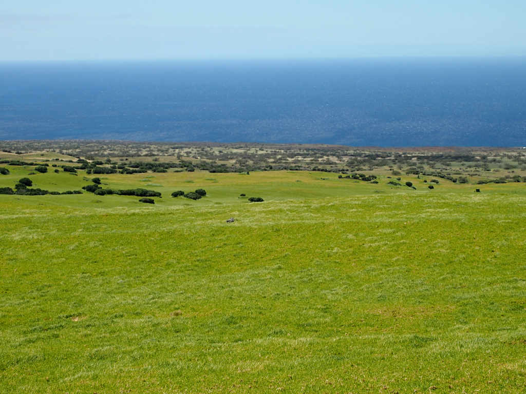 Kohala Ranch Country