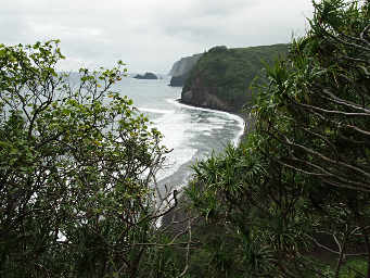 Pololu