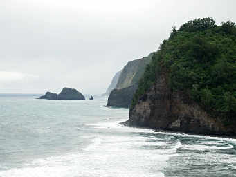 Pololu