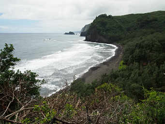  Pololu 