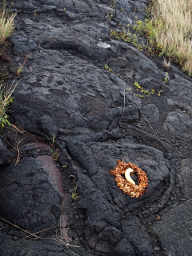 Pu'uLoa Petroglyphs