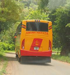 NEMts Hakuna Matata Bus