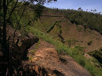 Steep Fields