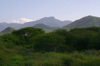 Mkomazi