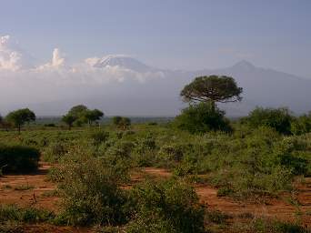 Mkomazi Kilimanjaro